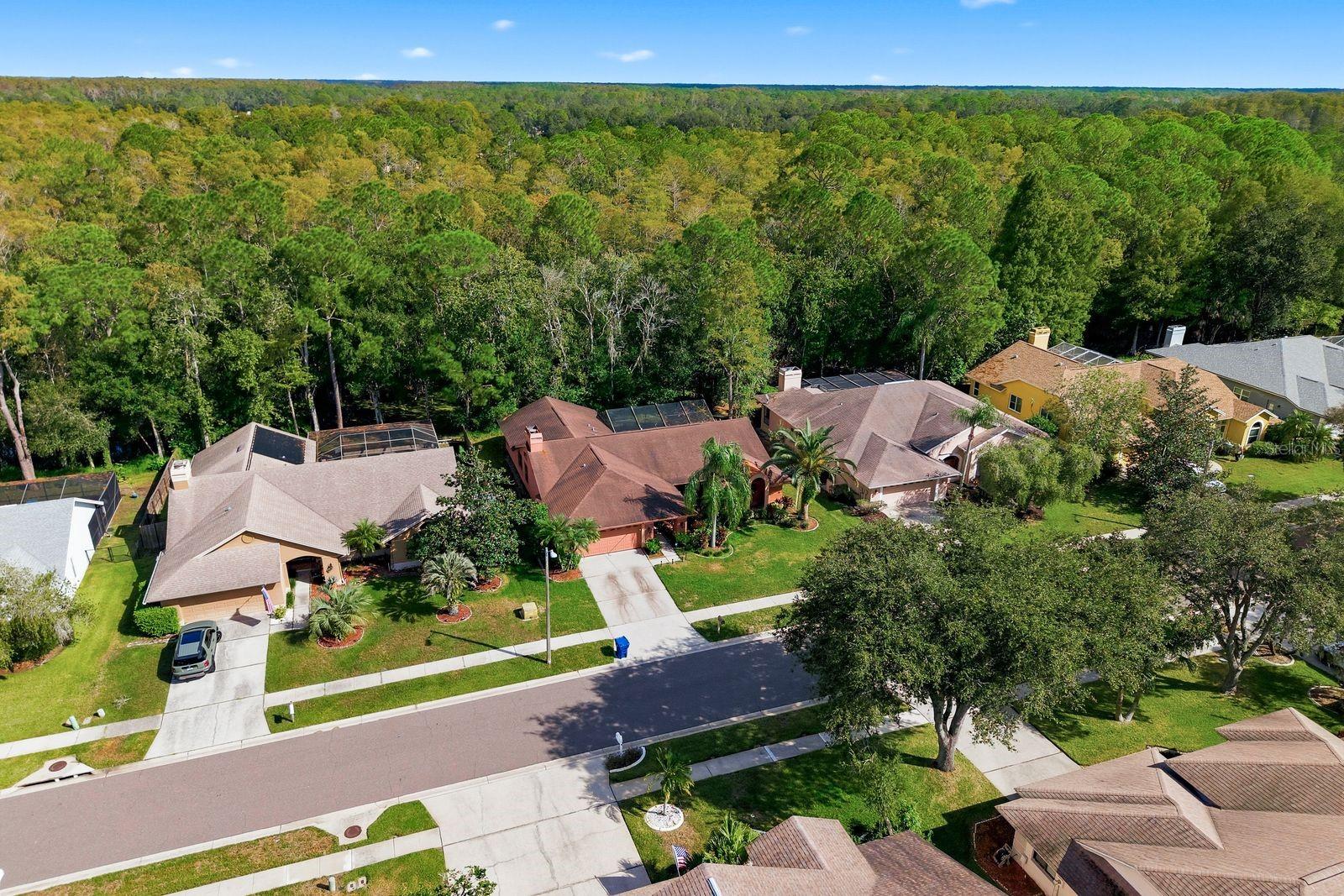 537 CENTERWOOD DRIVE, Tarpon Springs, FL 34688