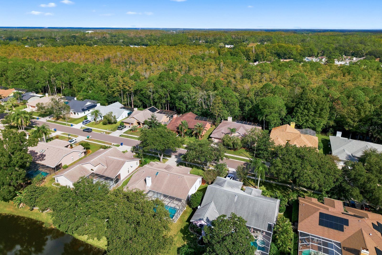 537 CENTERWOOD DRIVE, Tarpon Springs, FL 34688