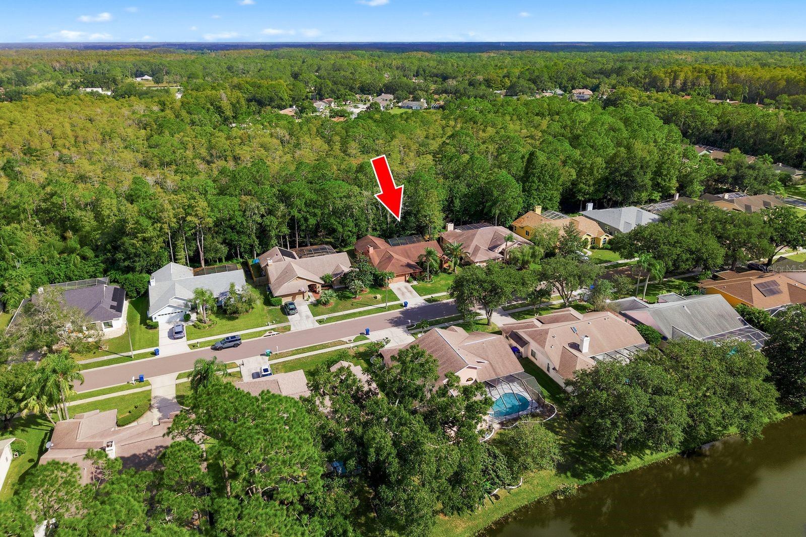 537 CENTERWOOD DRIVE, Tarpon Springs, FL 34688 537 CENTERWOOD DRIVE, Tarpon Springs, FL 34688