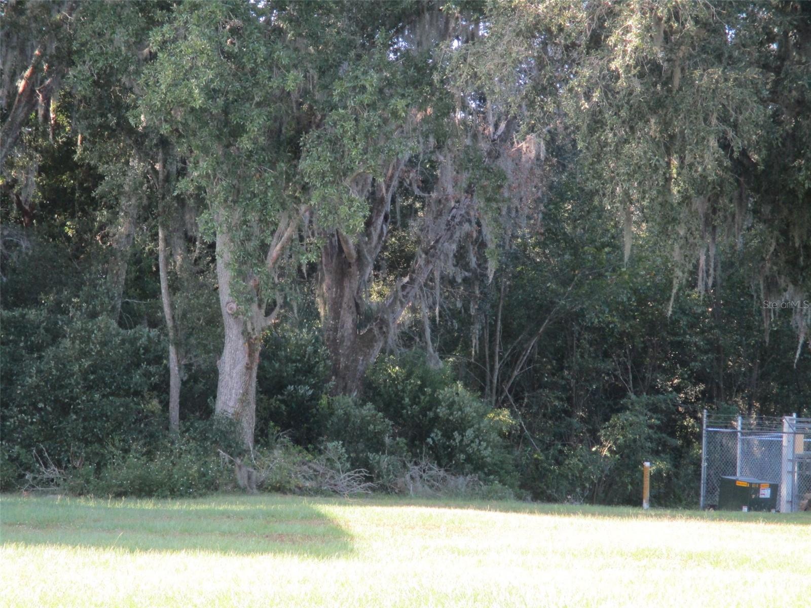 LOT 2 MONET DRIVE, Zephyrhills, FL 33540