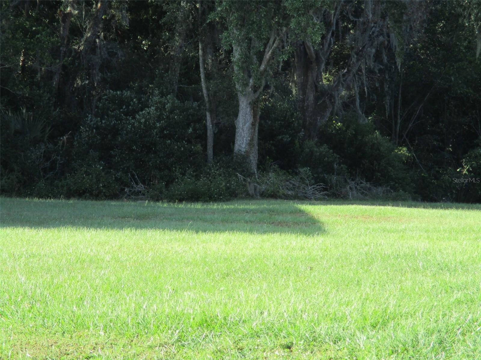LOT 2 MONET DRIVE, Zephyrhills, FL 33540