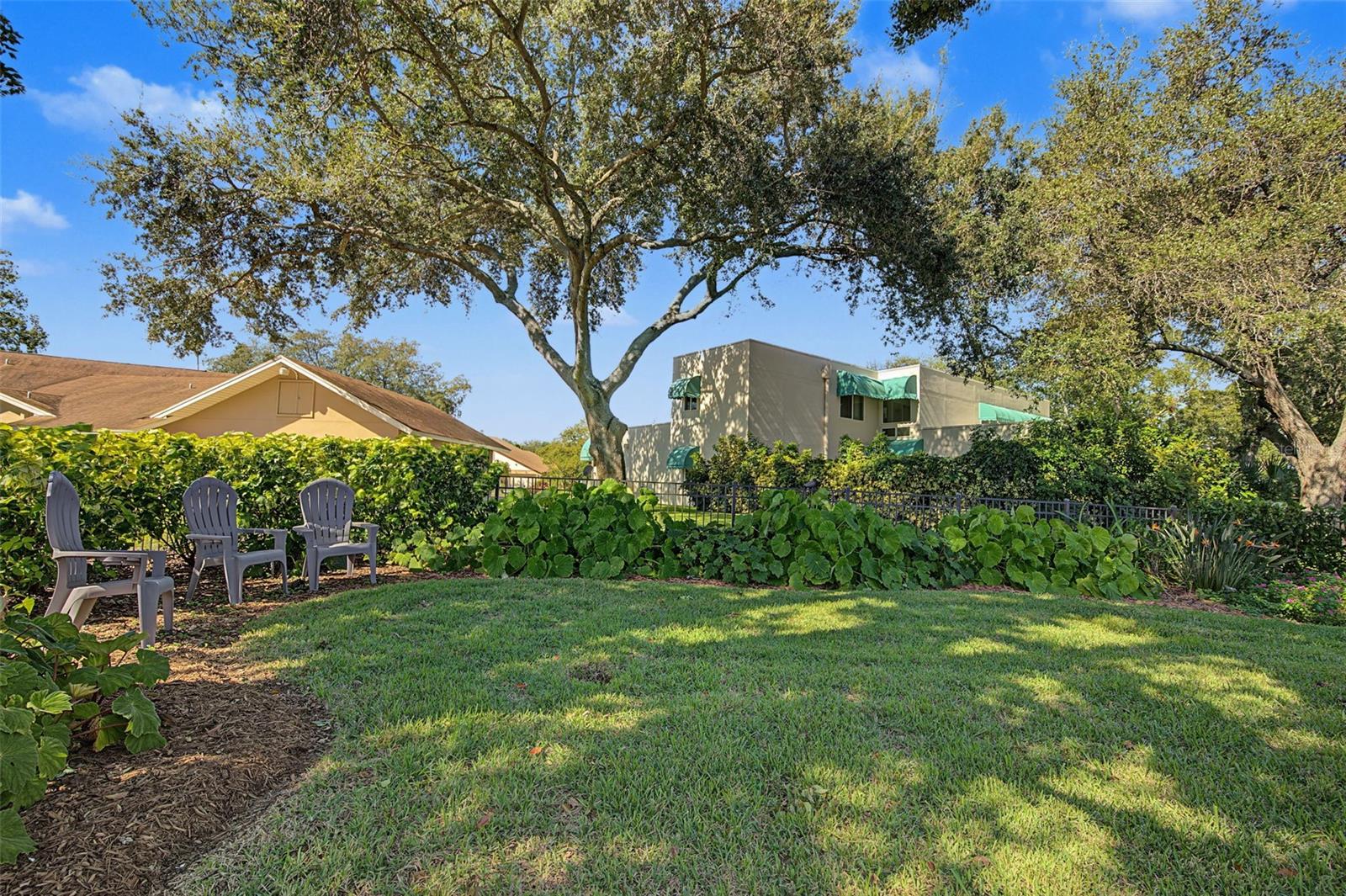 2334 TIVERTON COURT, Dunedin, FL 34698