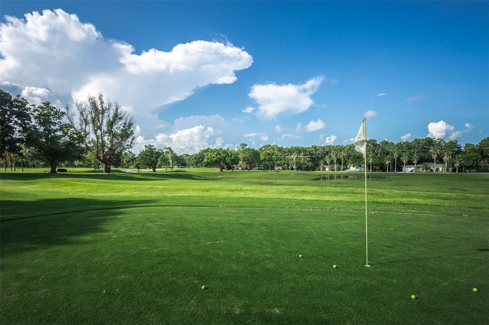 Dunedin Golf Club