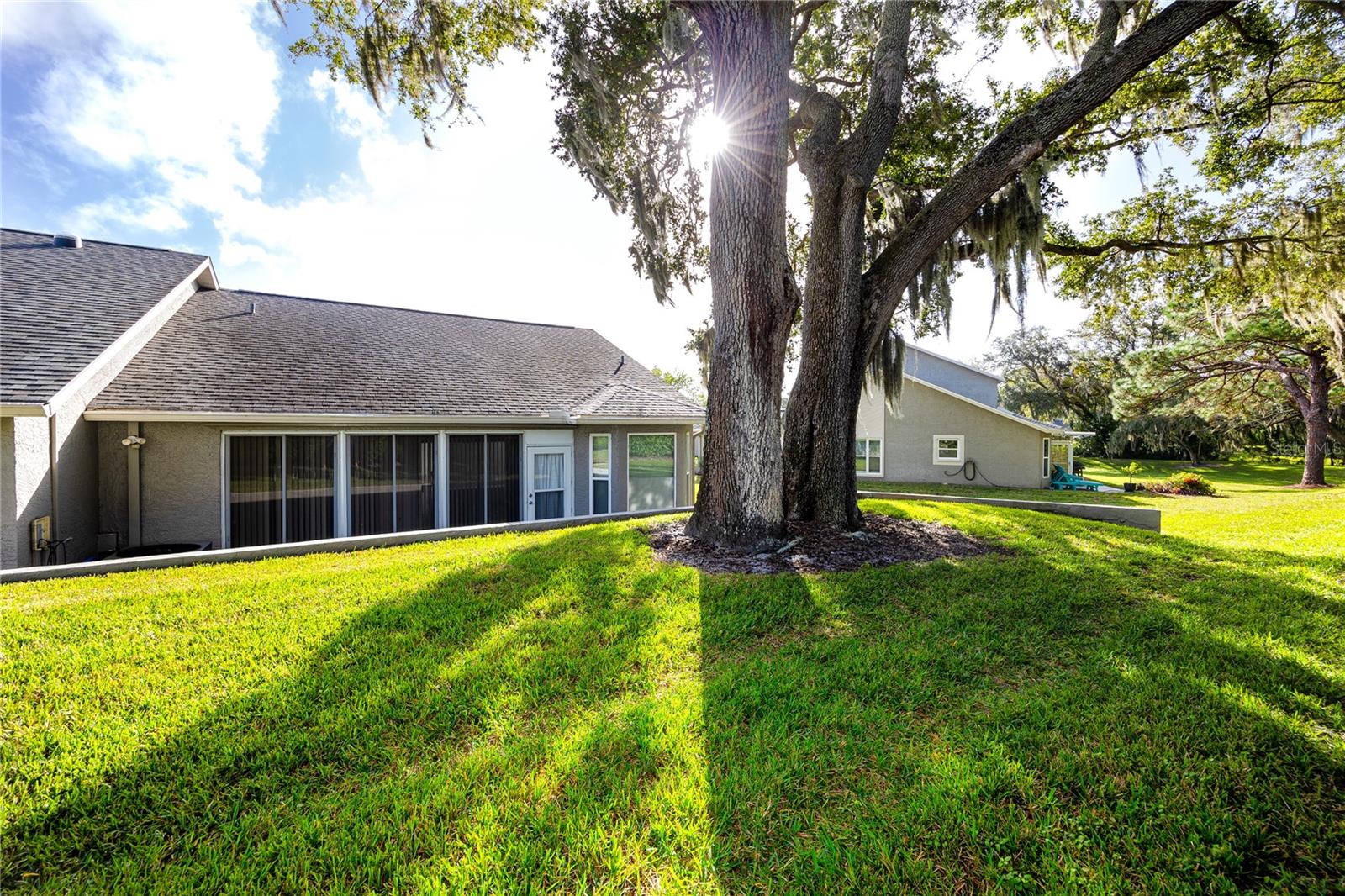 340 BUCKINGHAM PLACE, Palm Harbor, FL 34684