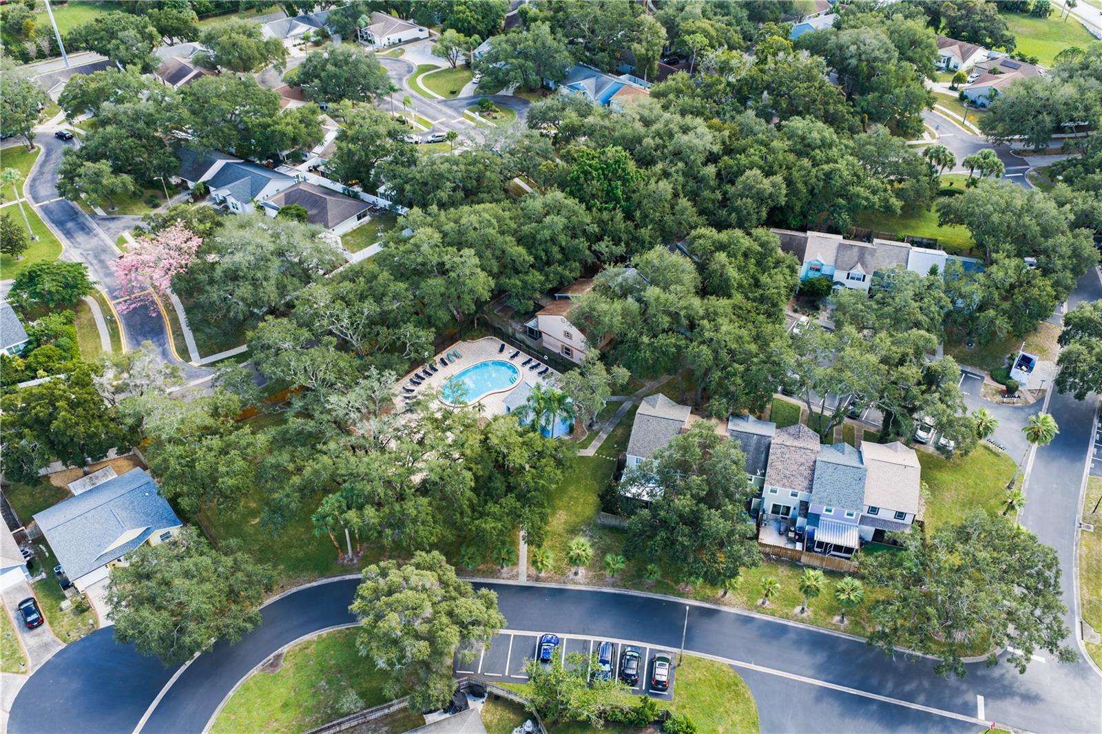 935 HAMILTON COURT, Palm Harbor, FL 34683