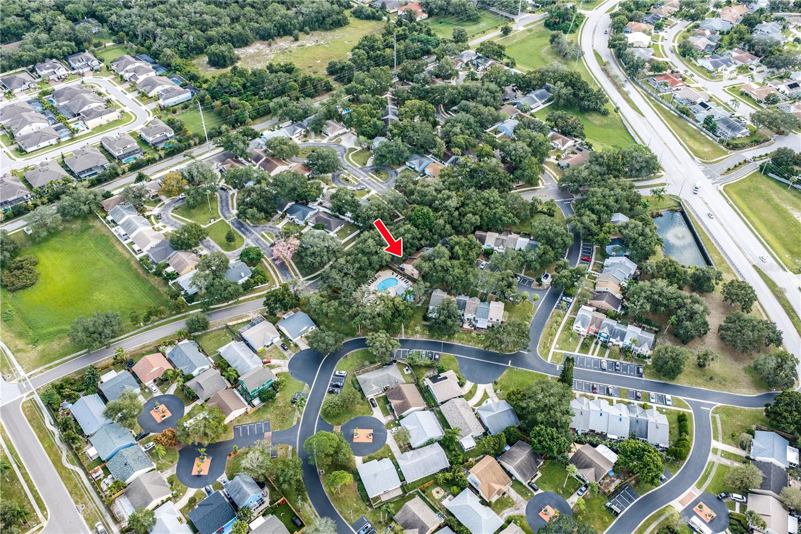 935 HAMILTON COURT, Palm Harbor, FL 34683 935 HAMILTON COURT, Palm Harbor, FL 34683