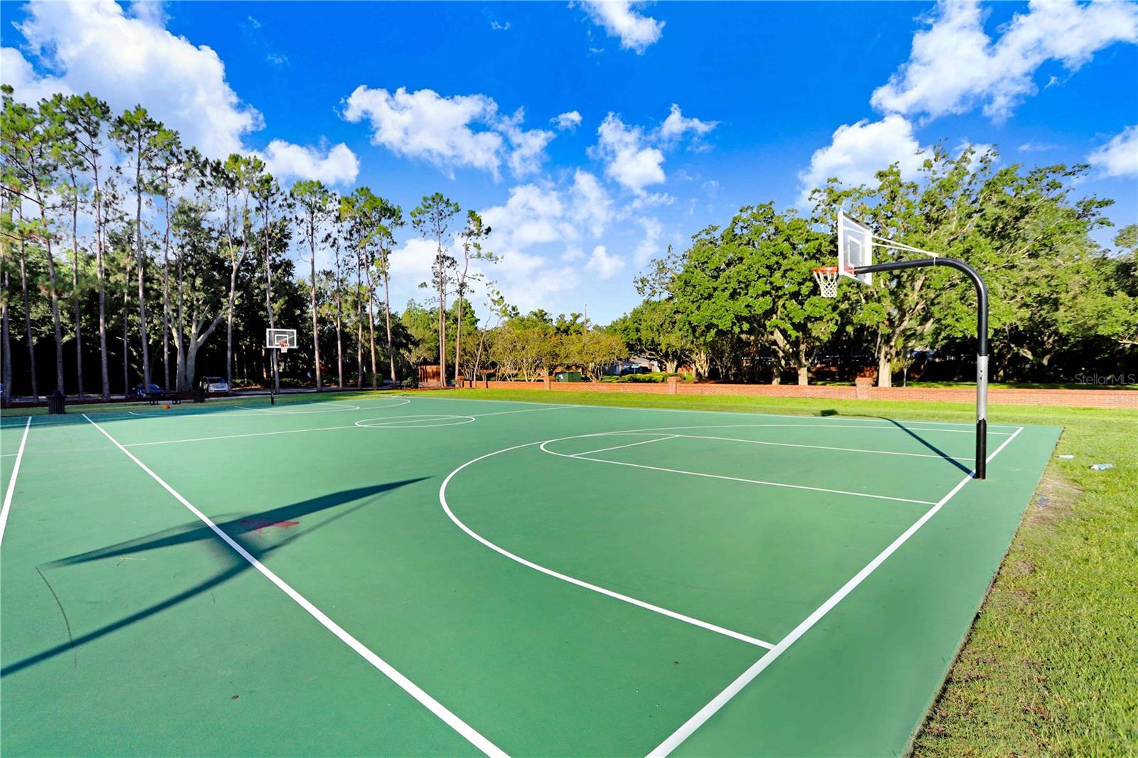 9420 GEORGIAN PARK LANE, #103, Tampa, FL 33626