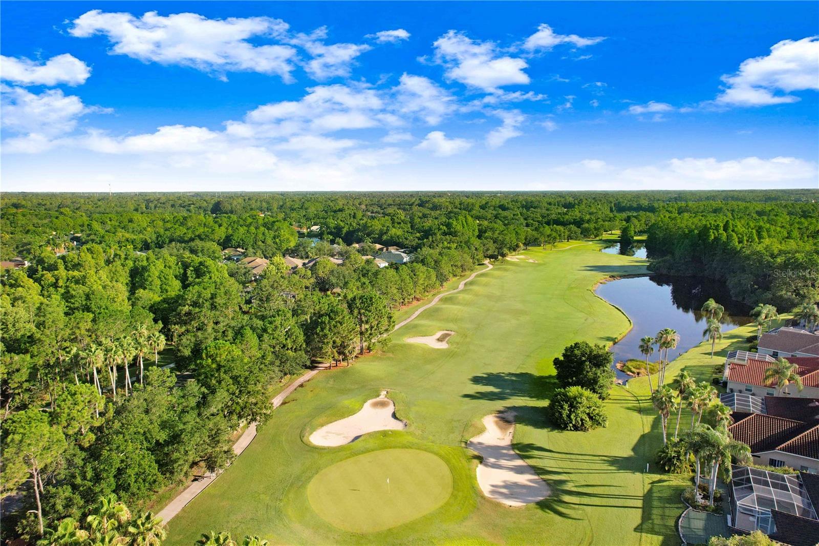 9420 GEORGIAN PARK LANE, #103, Tampa, FL 33626