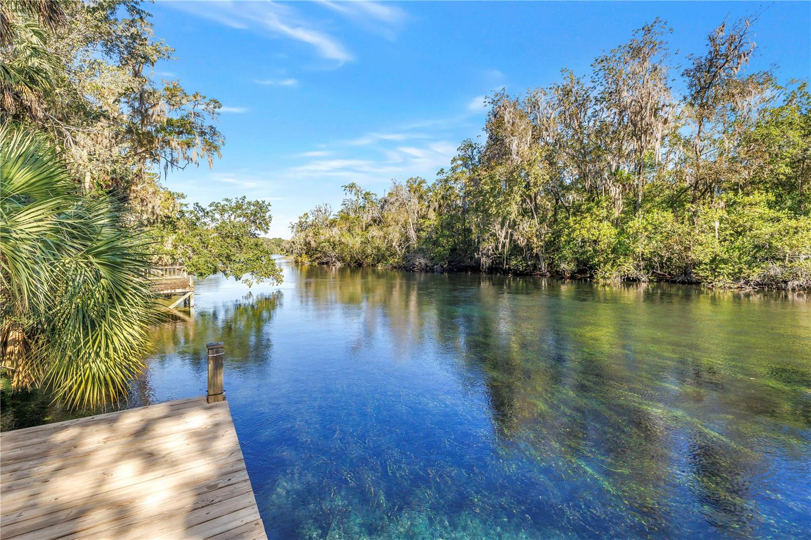 8885 SW 190TH AVENUE ROAD, Dunnellon, FL 34432