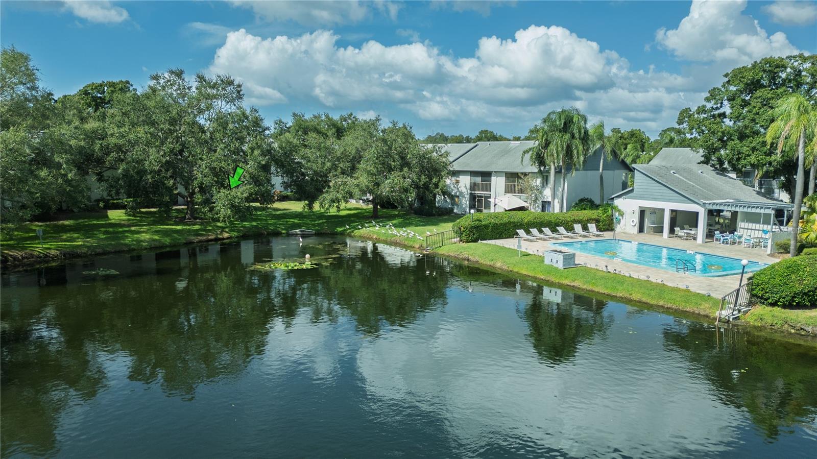 11201 122ND AVENUE, #105, Largo, FL 33778