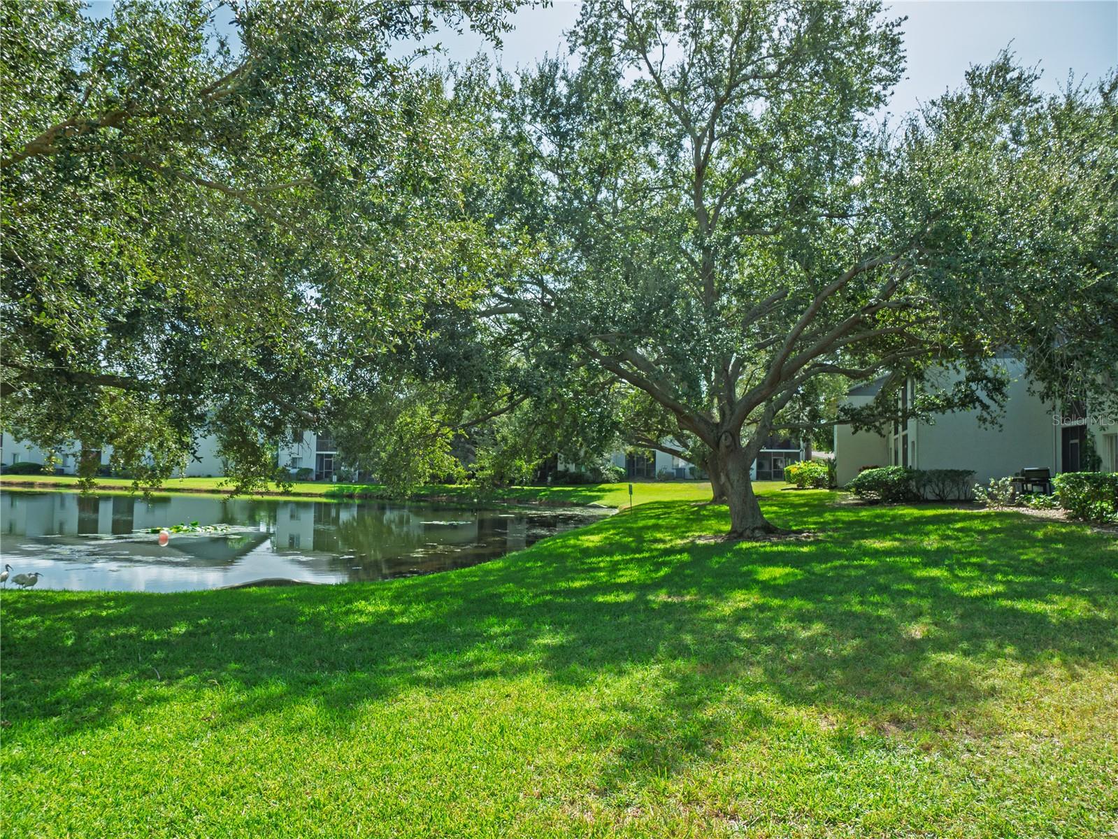 11201 122ND AVENUE, #105, Largo, FL 33778