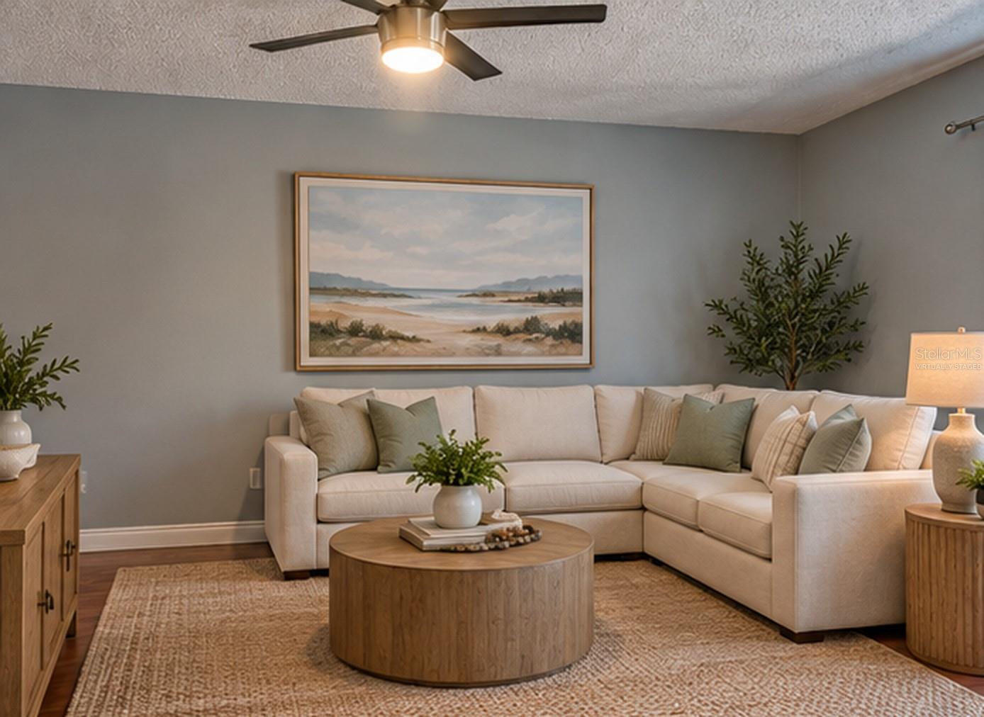 *Virtually Staged Living Room