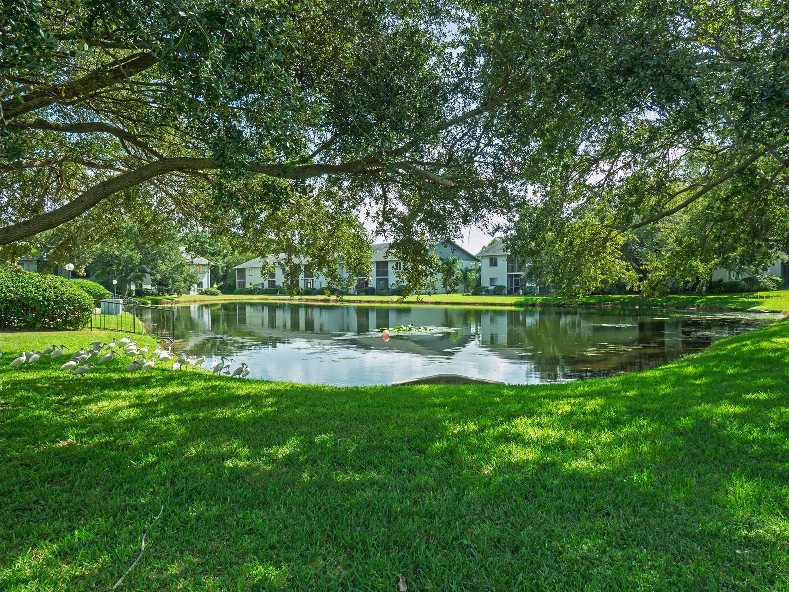 11201 122ND AVENUE, #105, Largo, FL 33778