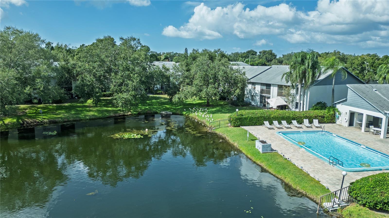 11201 122ND AVENUE, #105, Largo, FL 33778
