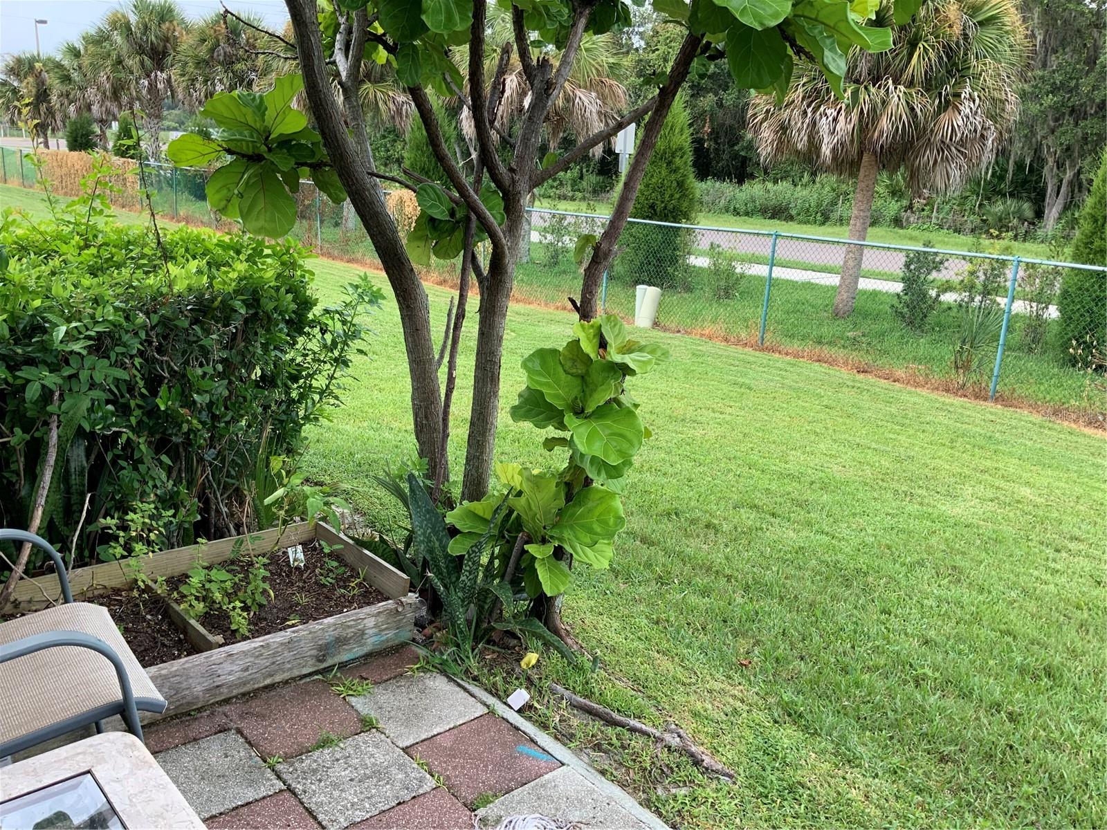 435 COUNTRYSIDE KEY BOULEVARD, Oldsmar, FL 34677