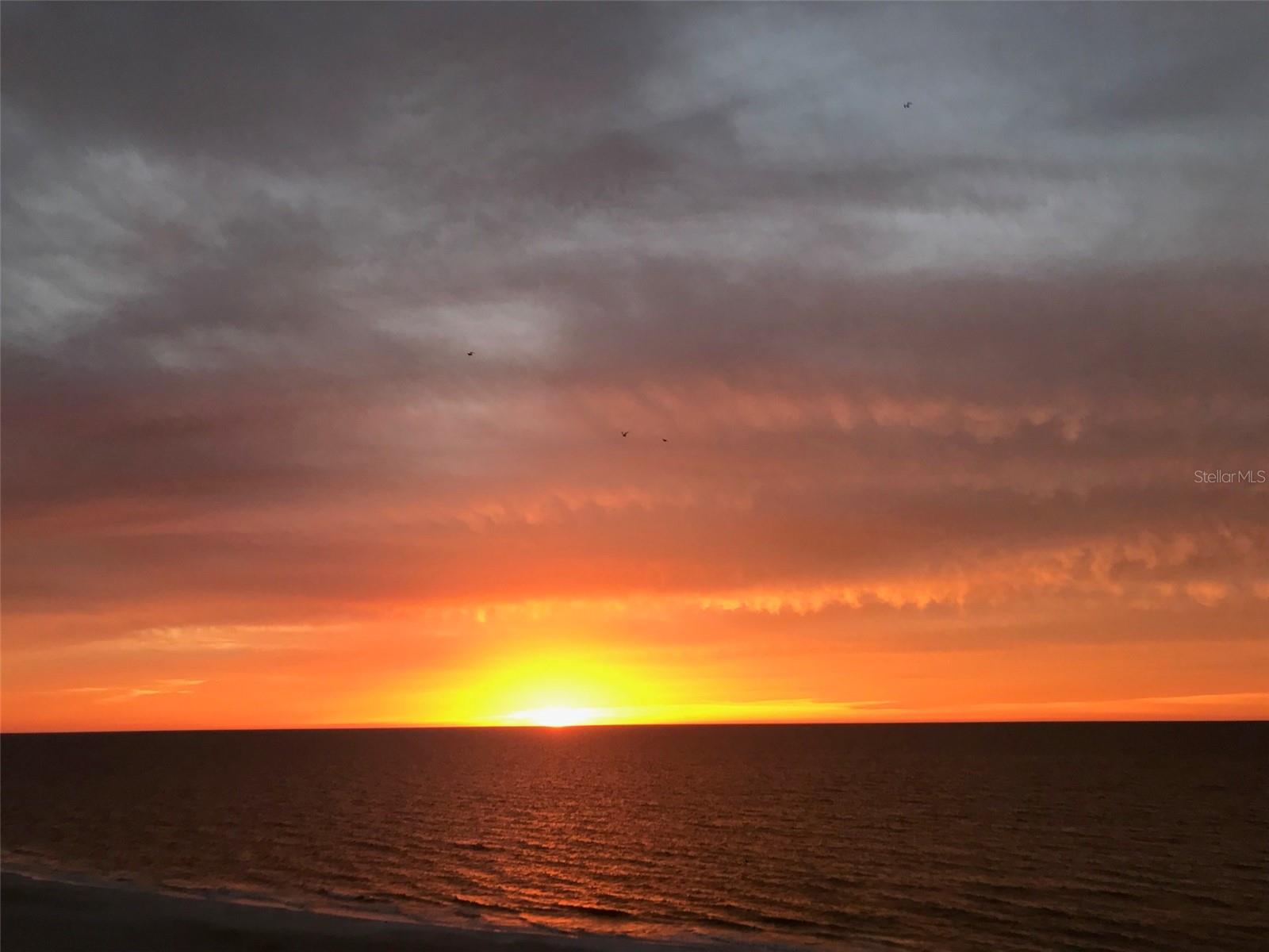 1380 GULF BOULEVARD, #307, Clearwater Beach, FL 33767