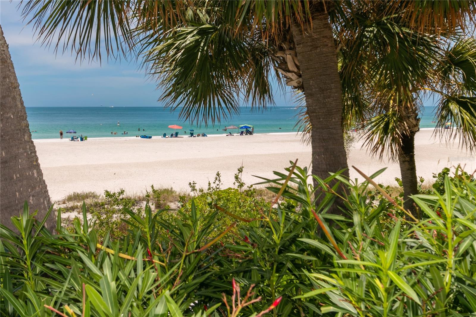 Beachscapes