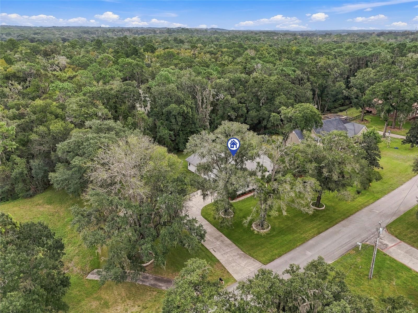 9896 DOMINGO DRIVE, Brooksville, FL 34601