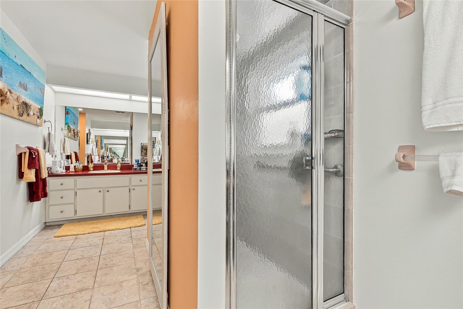 Master Walk-In Shower