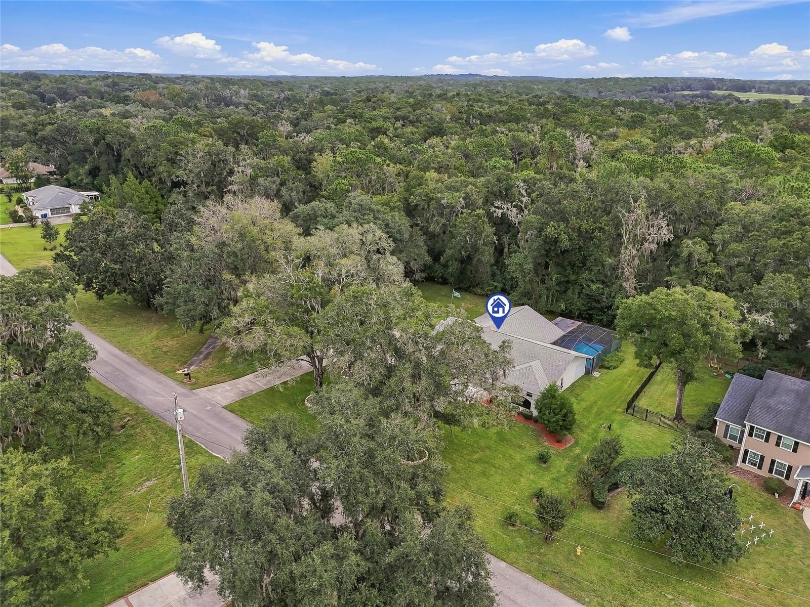 9896 DOMINGO DRIVE, Brooksville, FL 34601