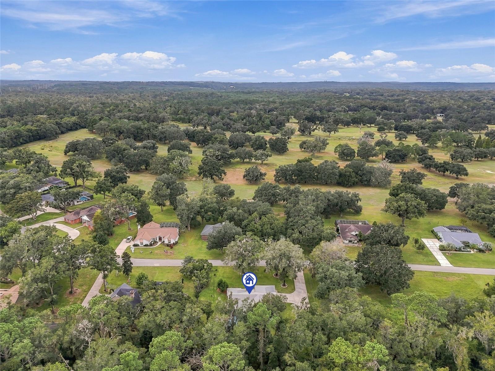 9896 DOMINGO DRIVE, Brooksville, FL 34601