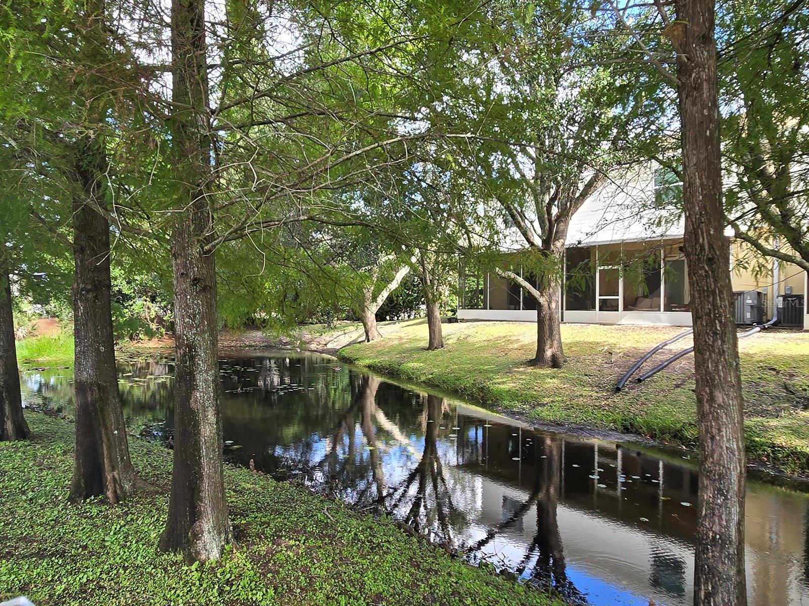 2974 ESTANCIA PLACE, Clearwater, FL 33761
