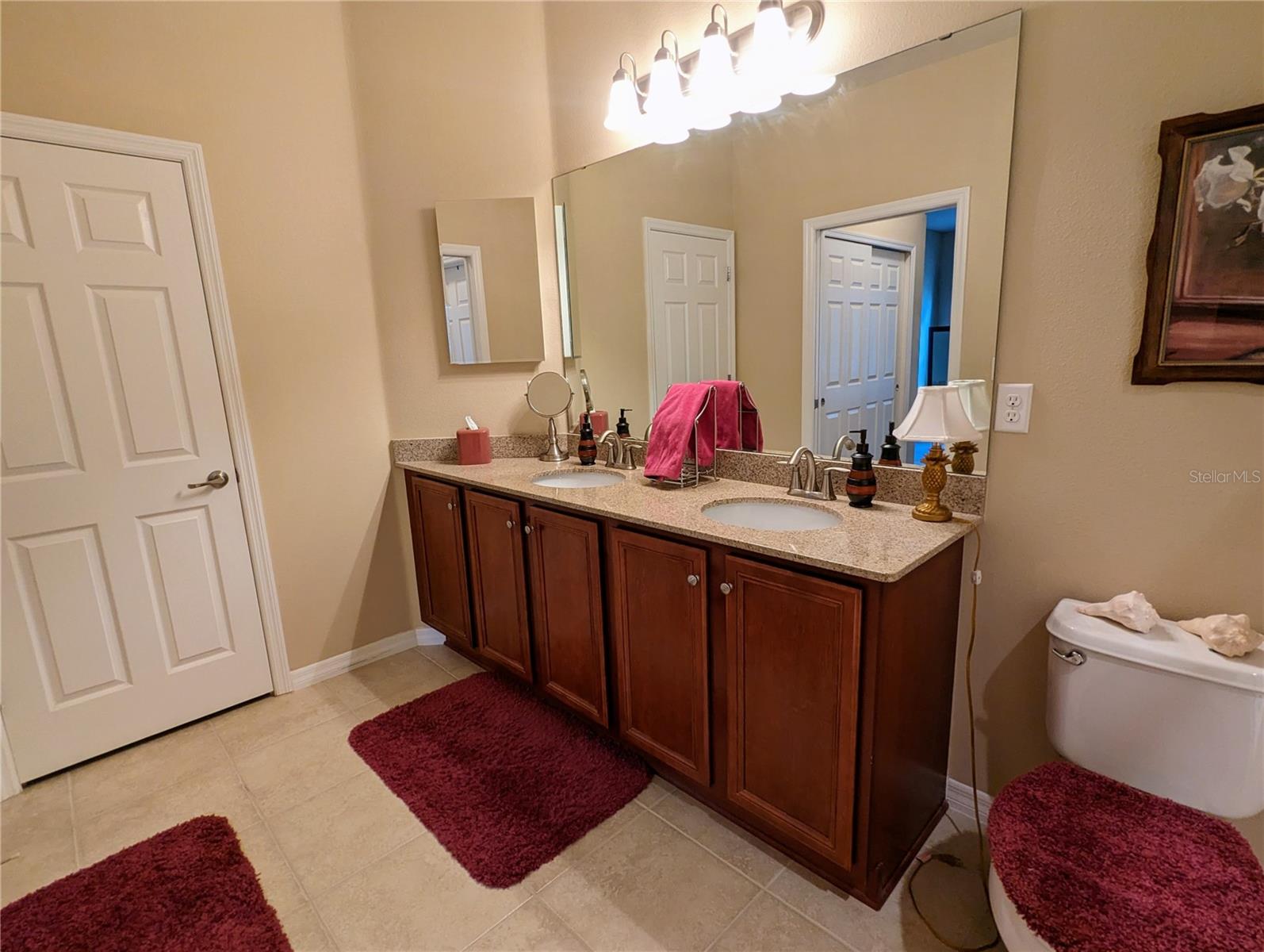 348 BLUEWATER FALLS COURT, Apollo Beach, FL 33572