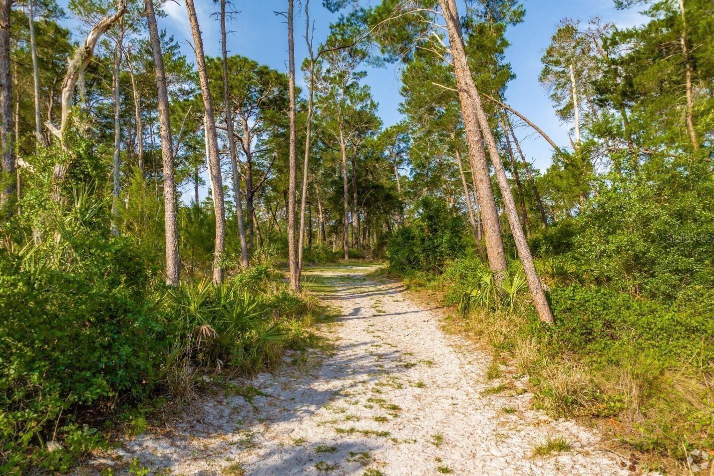 Key Vista Nature Park trails