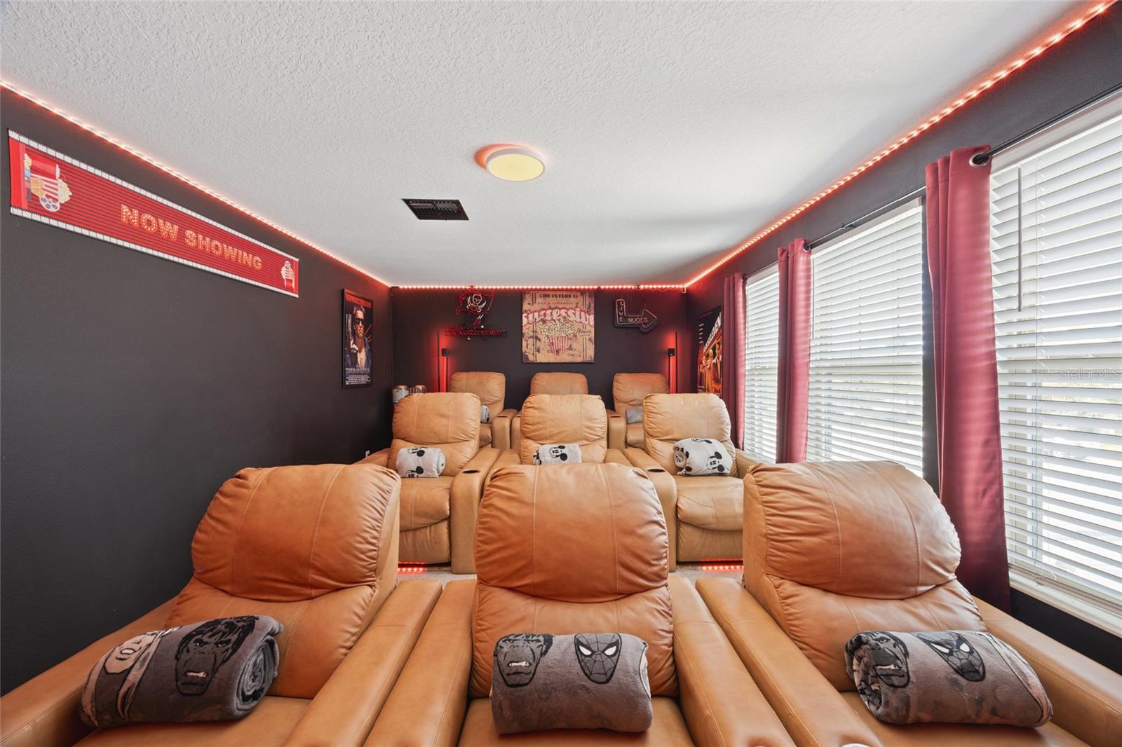 Nine Person Movie Room