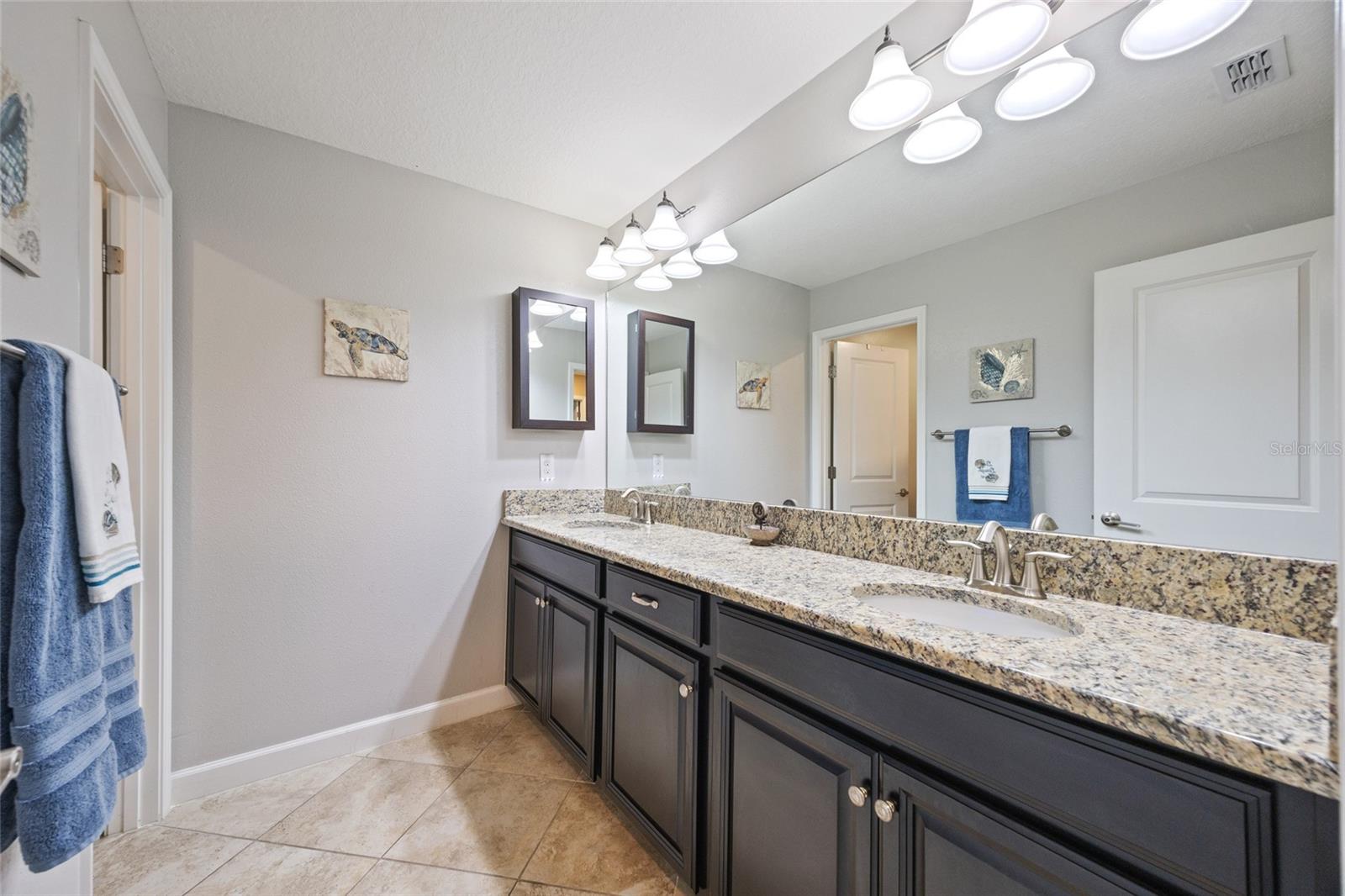 Guest Bathroom 1