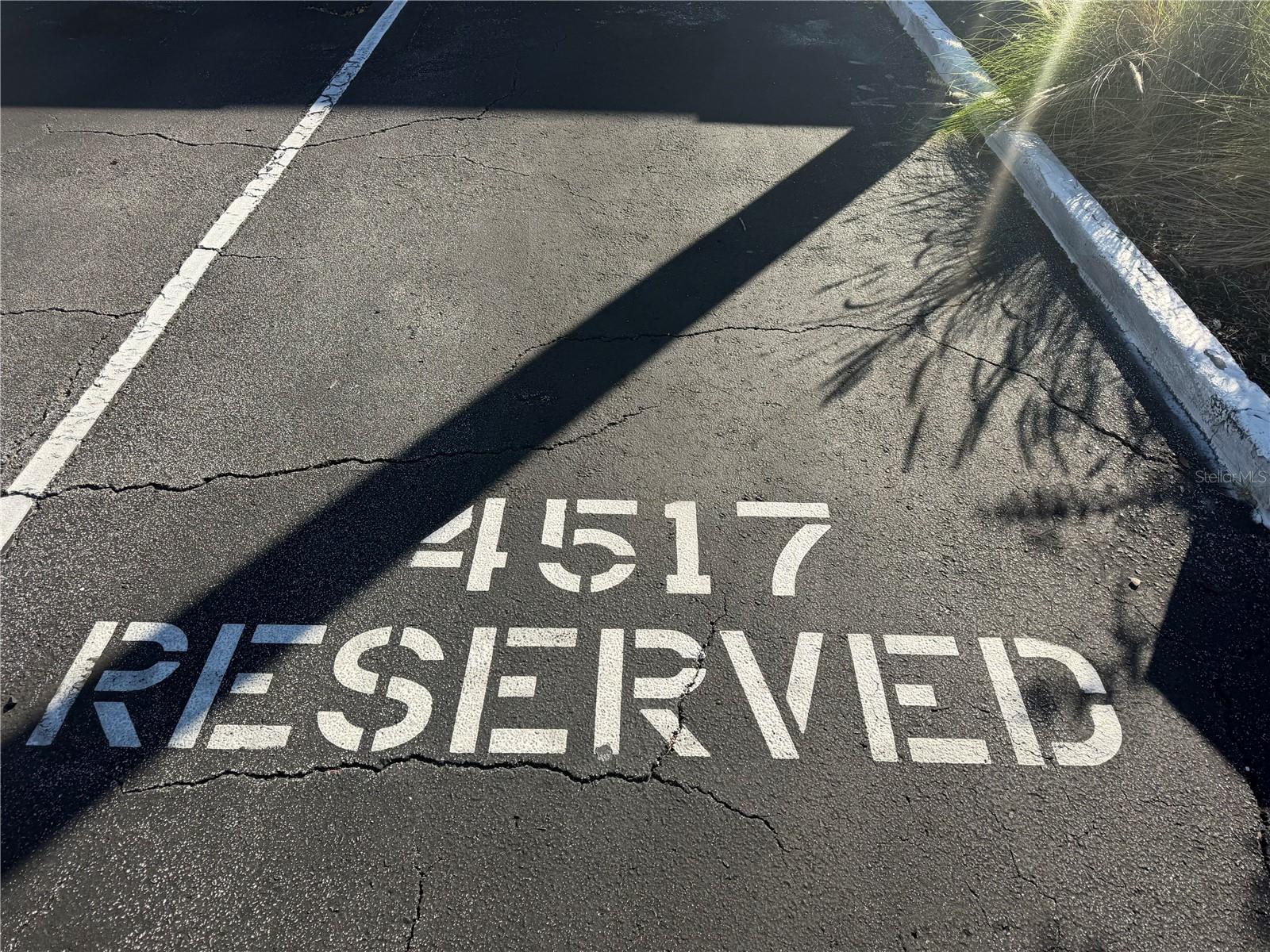 Parking space, dont worry there is tons of guest parking