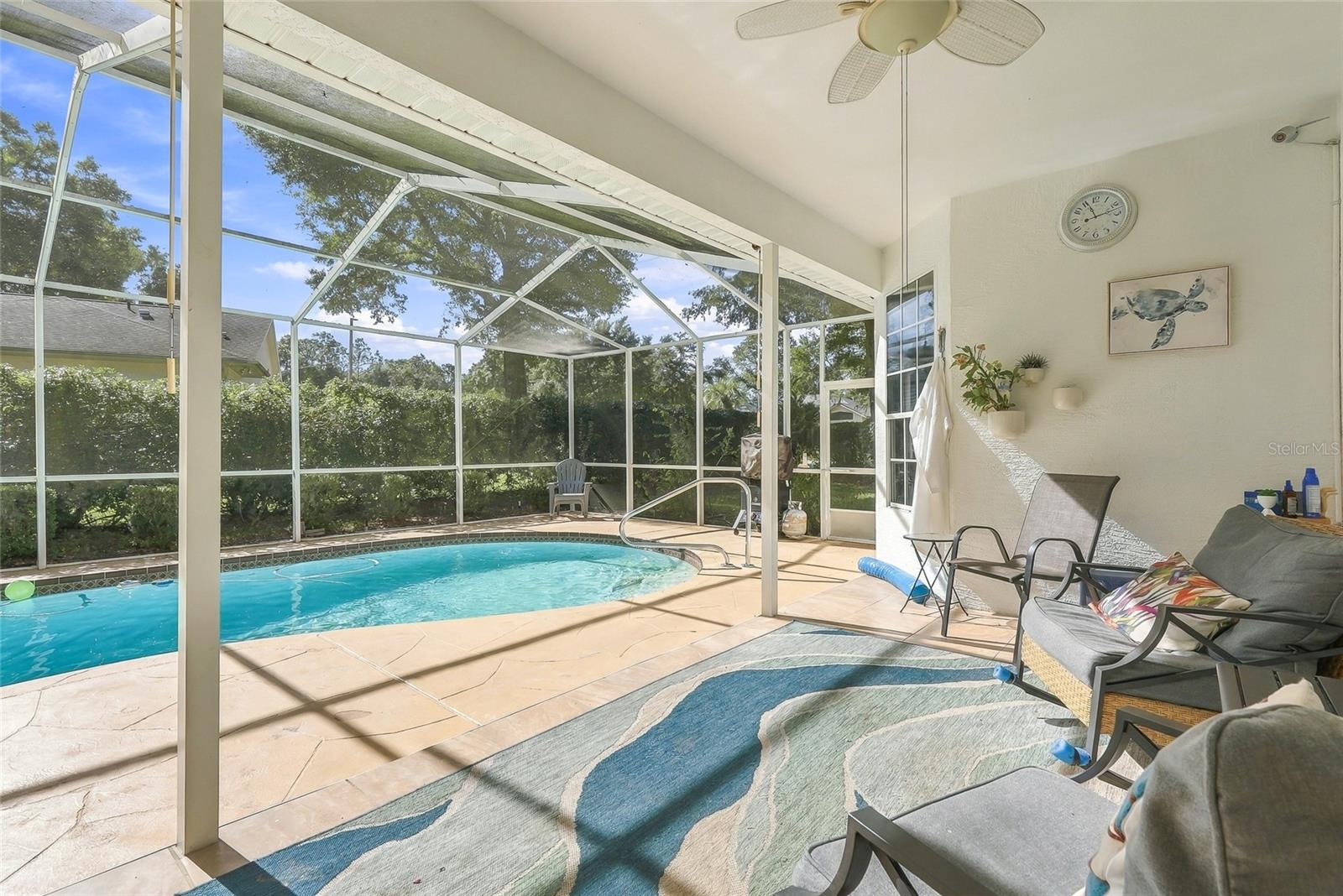 Covered Back Patio