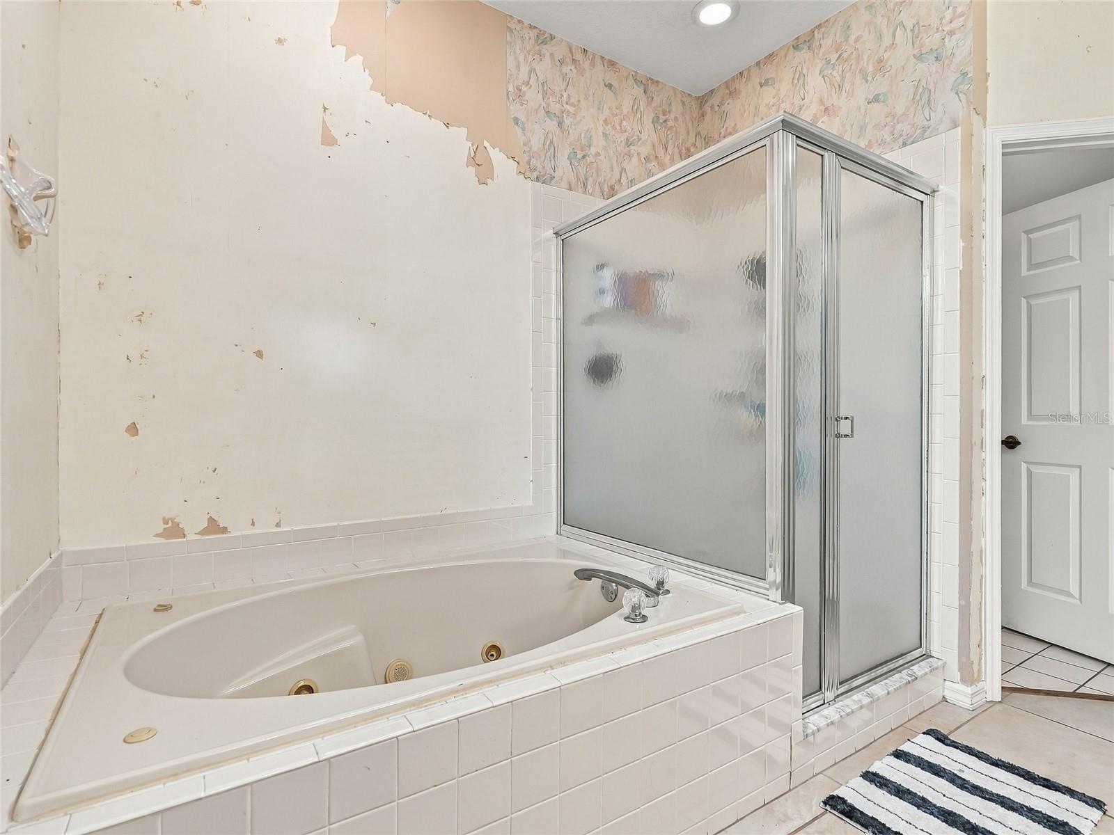 Large Soaking Tub with Jets