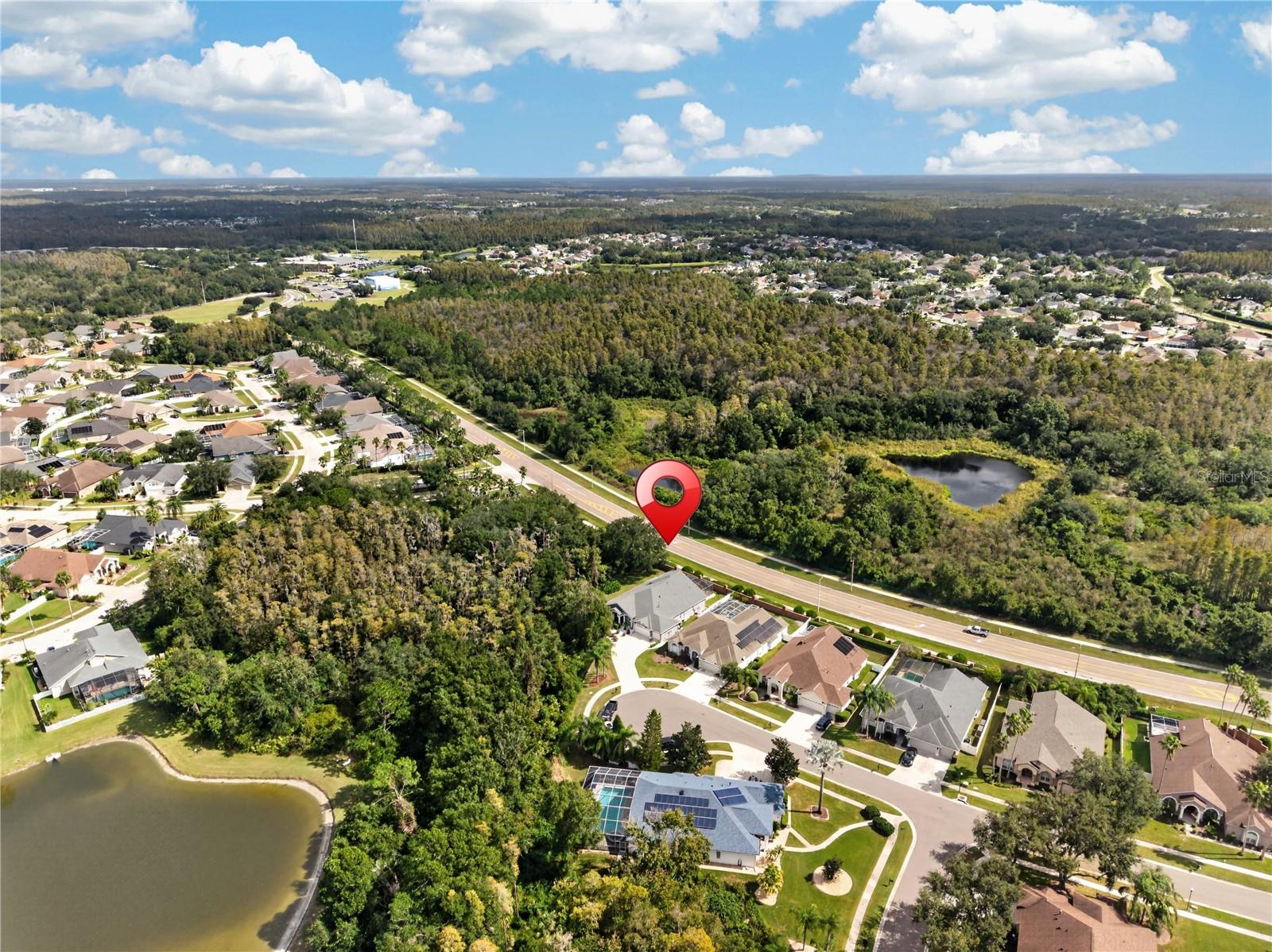 18211 WIMBLEDON GREEN PLACE, Tampa, FL 33647