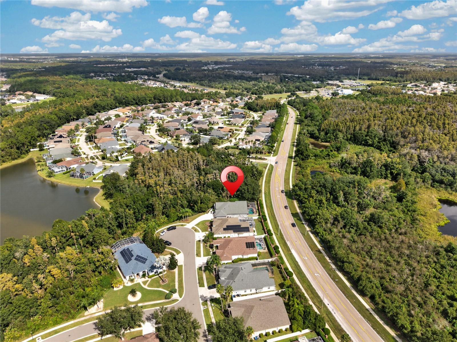 18211 WIMBLEDON GREEN PLACE, Tampa, FL 33647