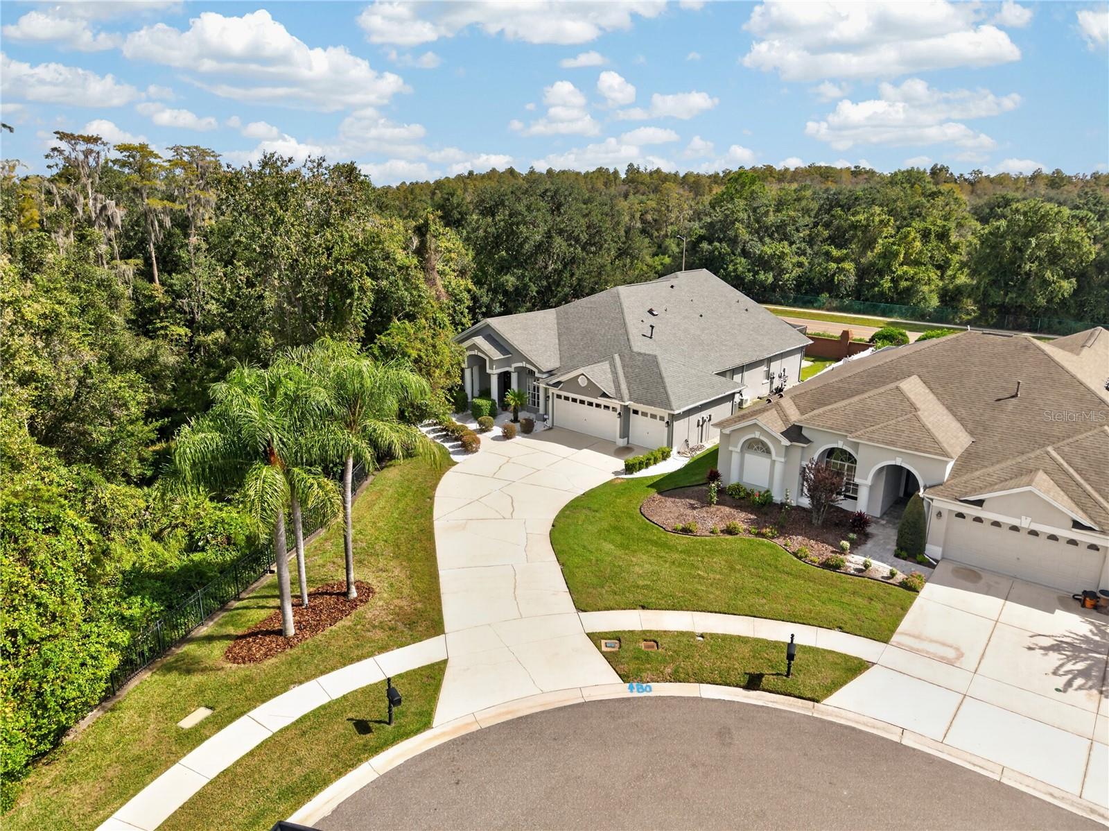 18211 WIMBLEDON GREEN PLACE, Tampa, FL 33647