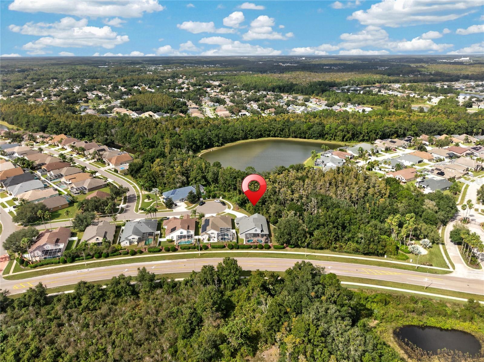 18211 WIMBLEDON GREEN PLACE, Tampa, FL 33647