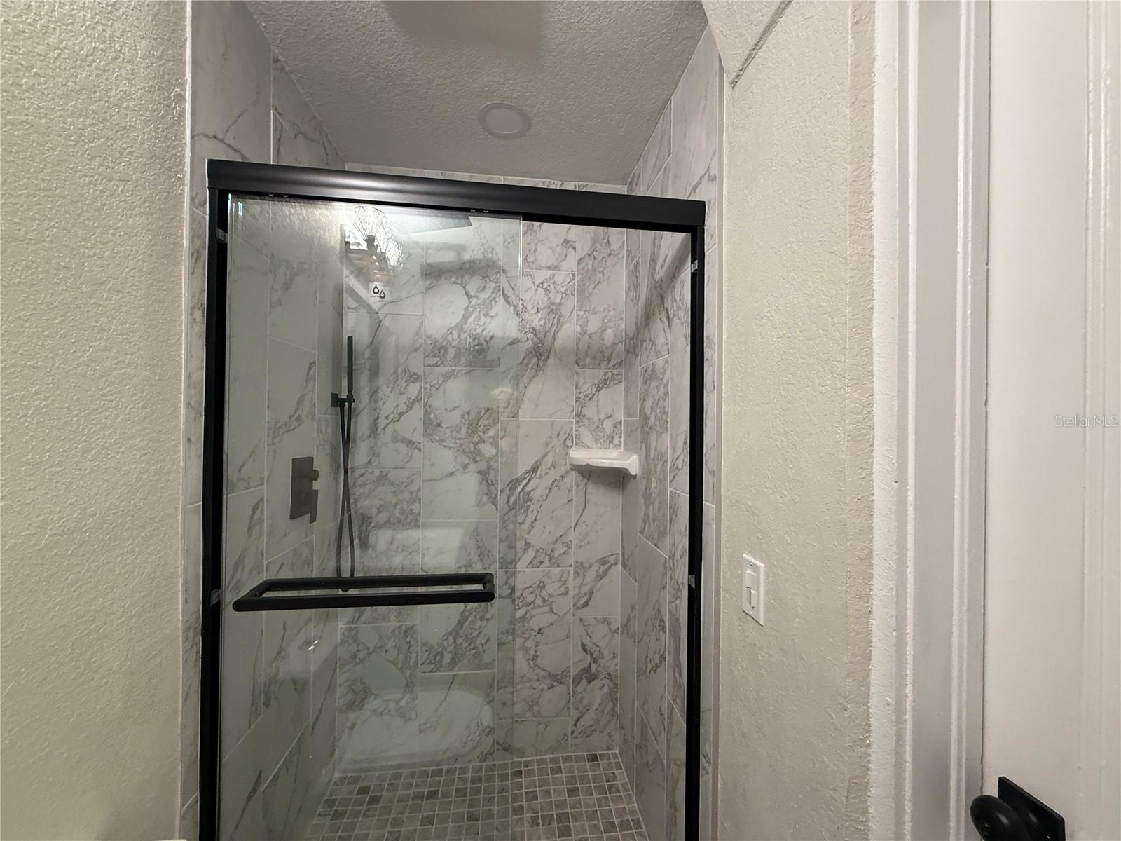 Master bath shower