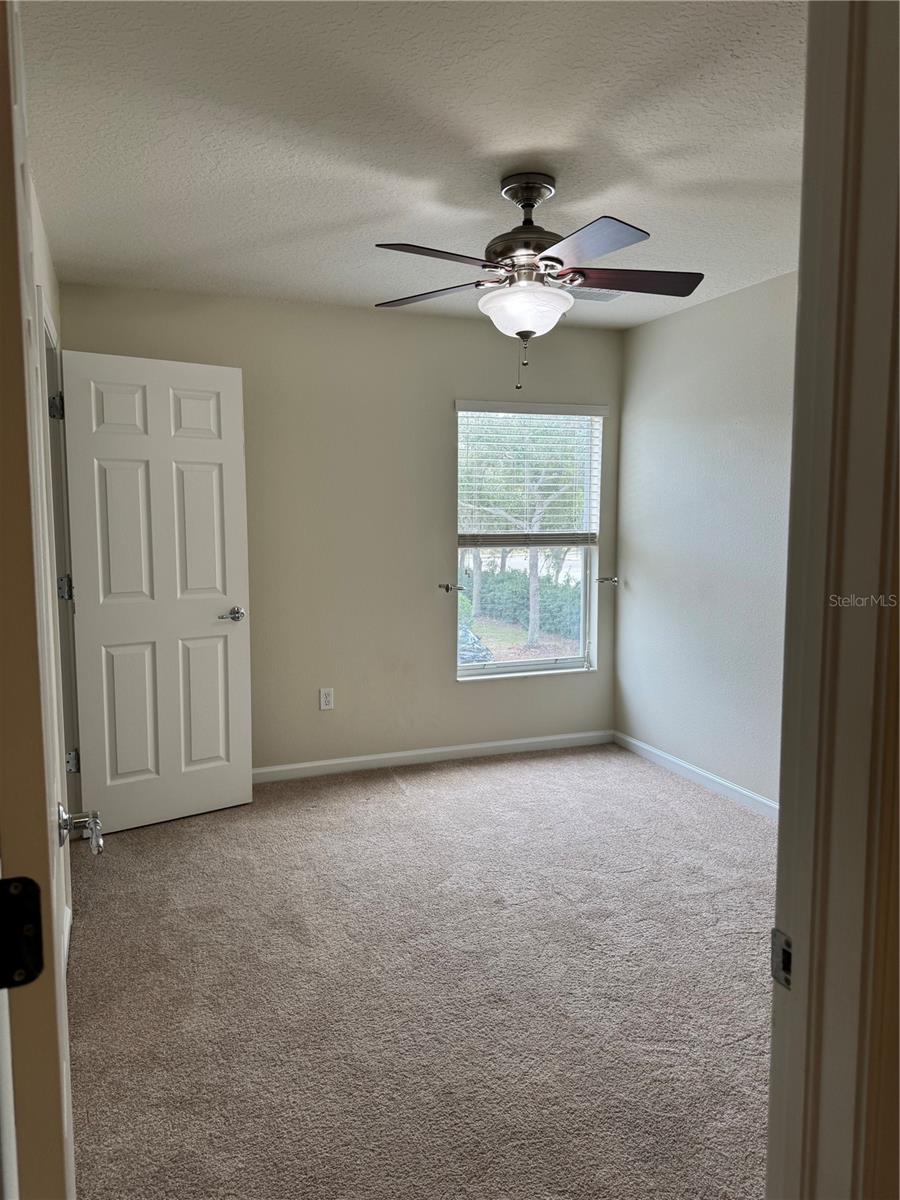 10231 PINK PALMATA COURT, Riverview, FL 33578