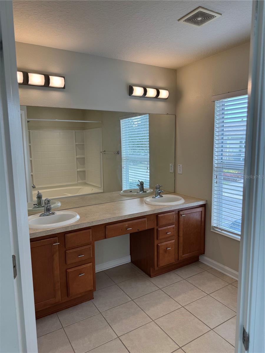 10231 PINK PALMATA COURT, Riverview, FL 33578