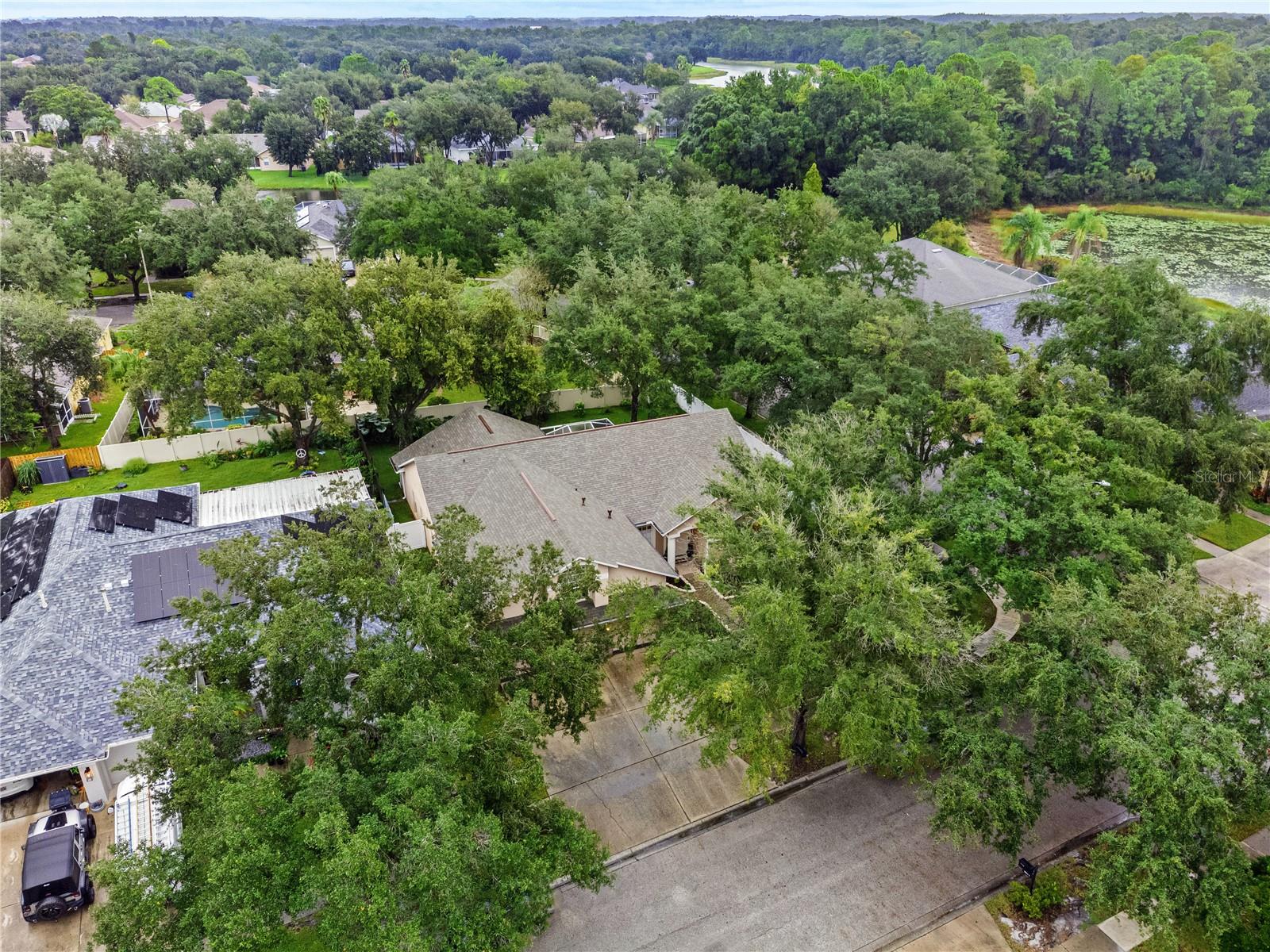 8612 SWANN RIDGE COURT, Tampa, FL 33647