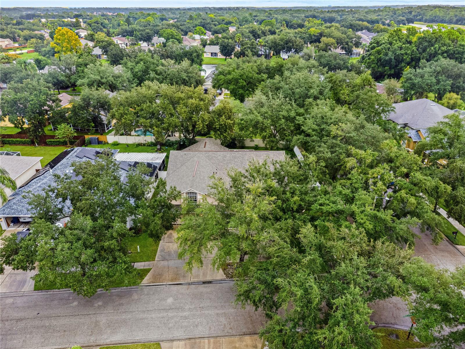 8612 SWANN RIDGE COURT, Tampa, FL 33647