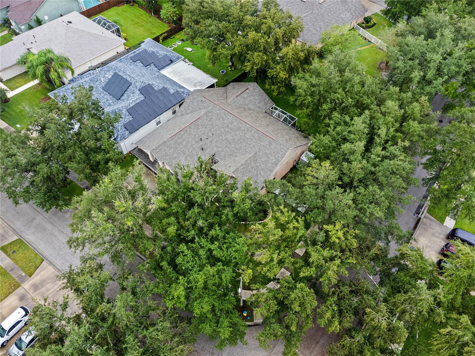 8612 SWANN RIDGE COURT, Tampa, FL 33647