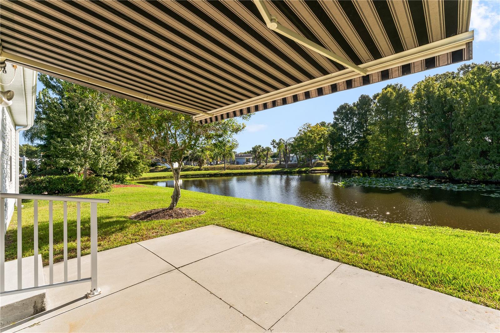 559 DOVE TERRACE S, Oldsmar, FL 34677