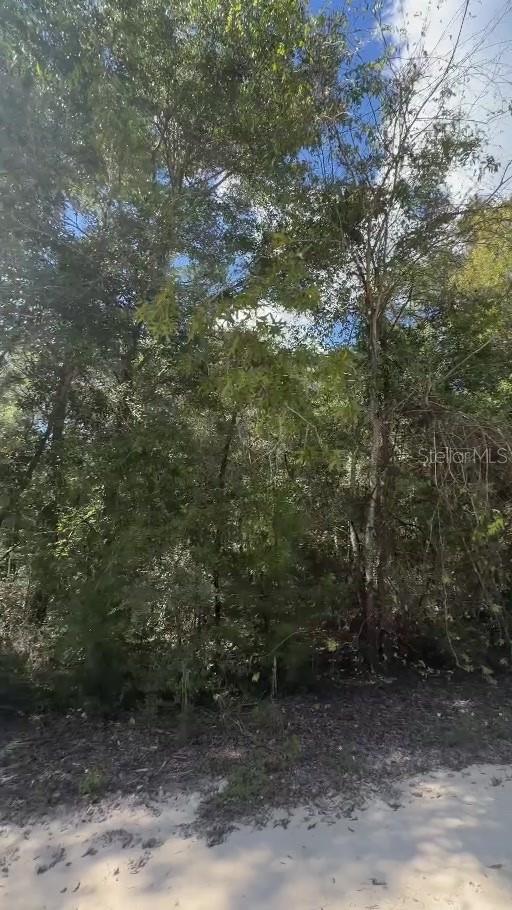 NE 141ST AVENUE, Williston, FL 32696