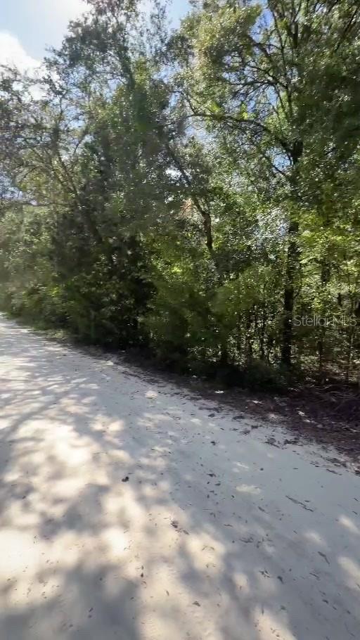 NE 141ST AVENUE, Williston, FL 32696
