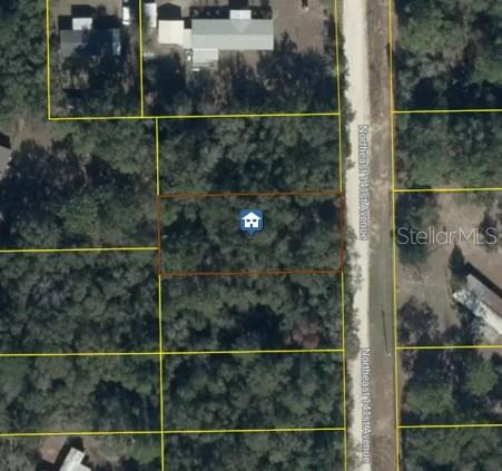 NE 141ST AVENUE, Williston, FL 32696