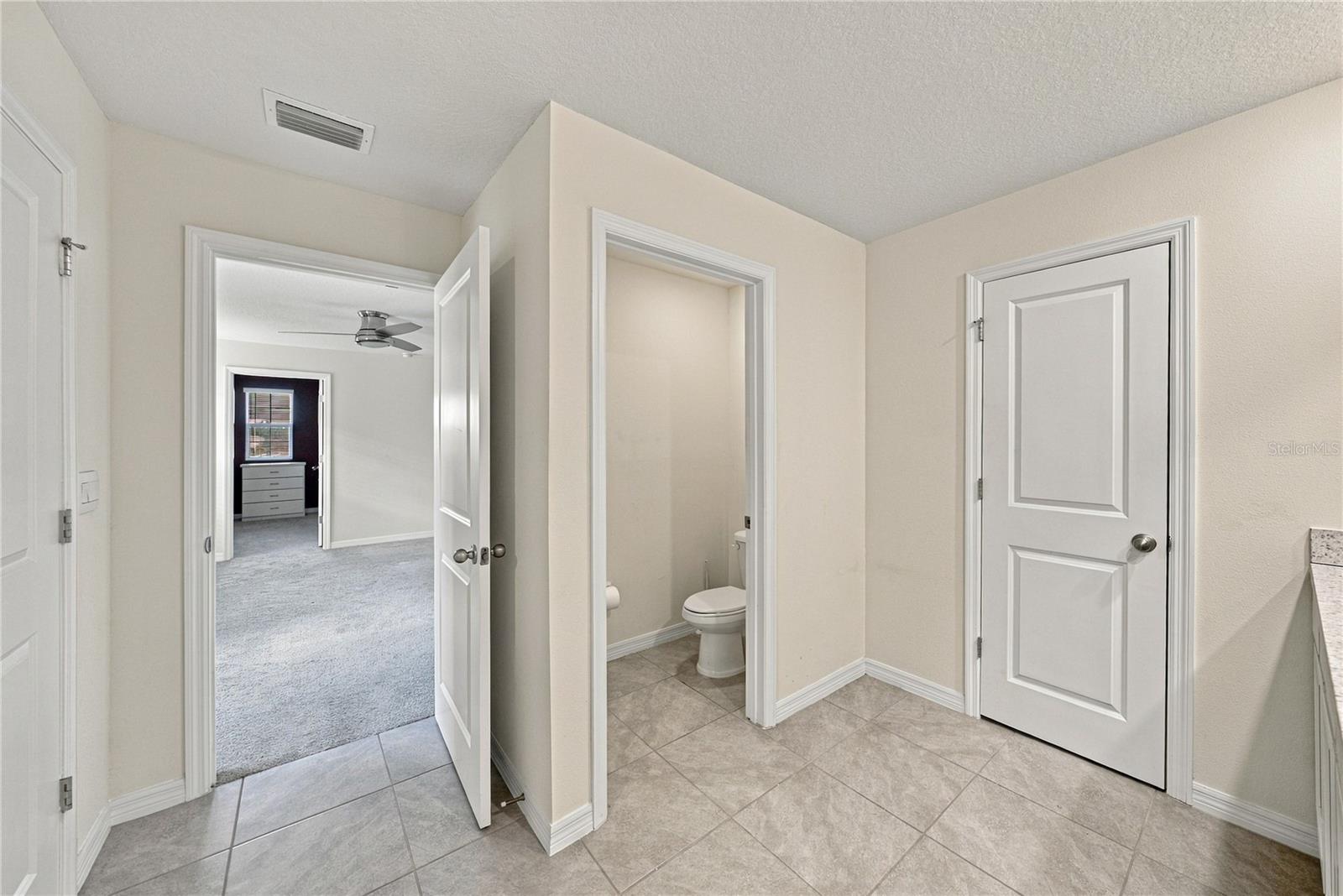 12172 LILY MAGNOLIA LANE, Riverview, FL 33569