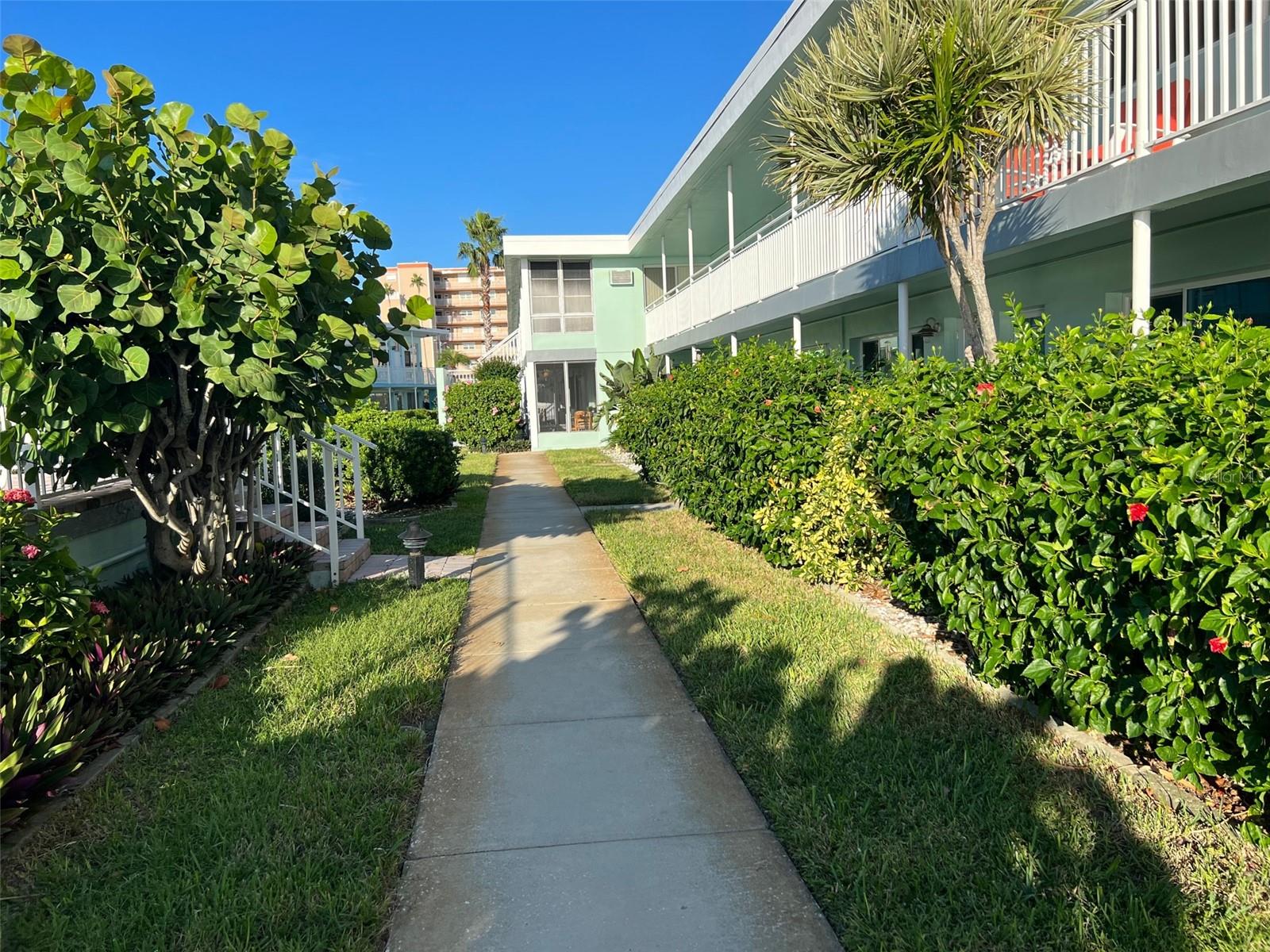1840 SHORE DRIVE S, #5, South Pasadena, FL 33707