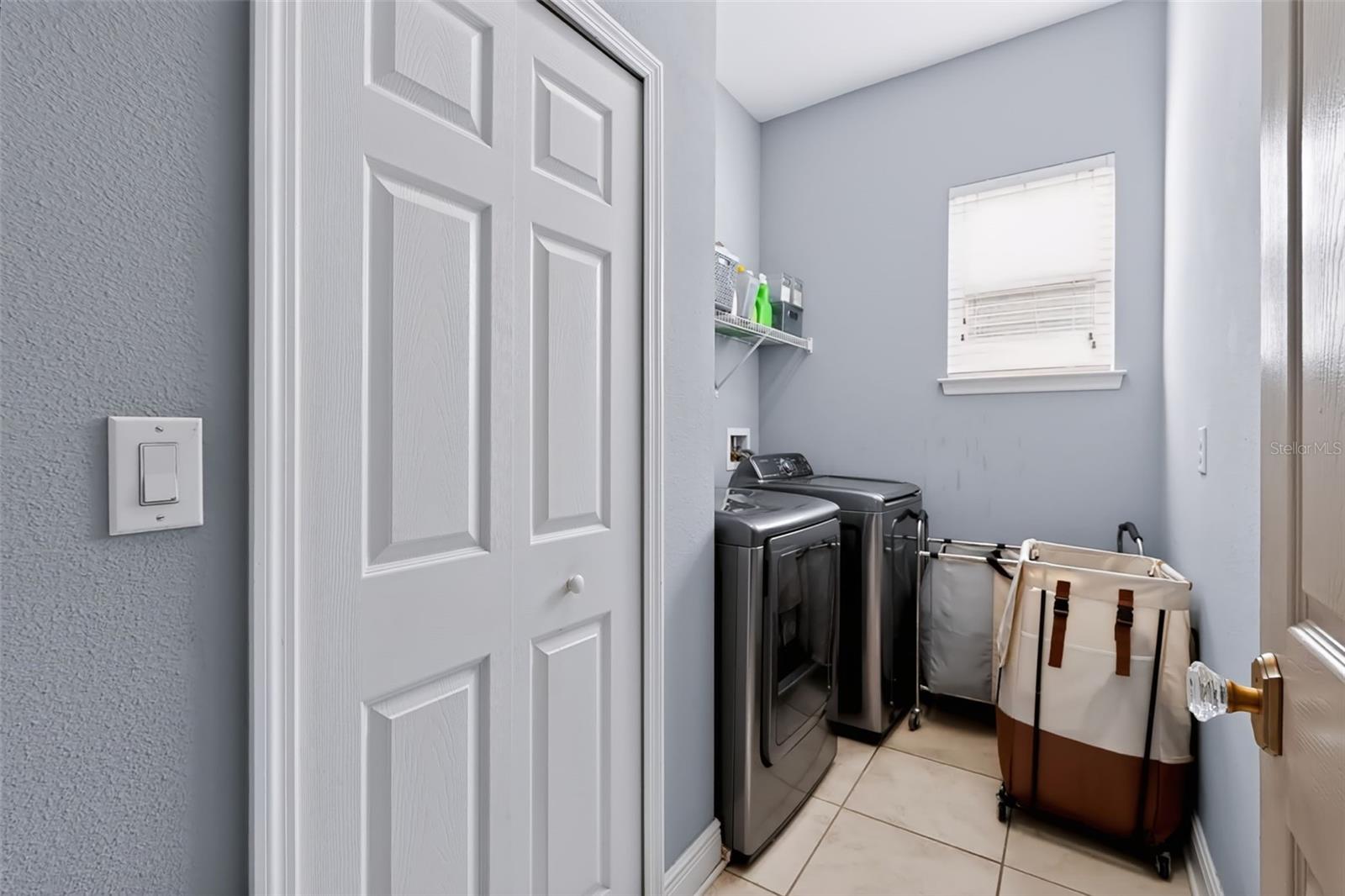313 ROXBURY CROSSING COURT, Valrico, FL 33594